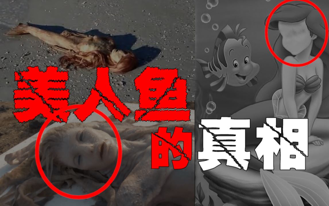 【美人鱼】最全美人鱼讲解，从神话到现实。她是信仰还是魔鬼？