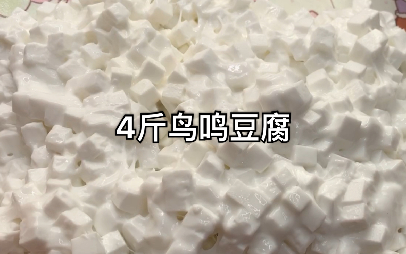 【史莱姆】4斤鸟鸣豆腐安排上了