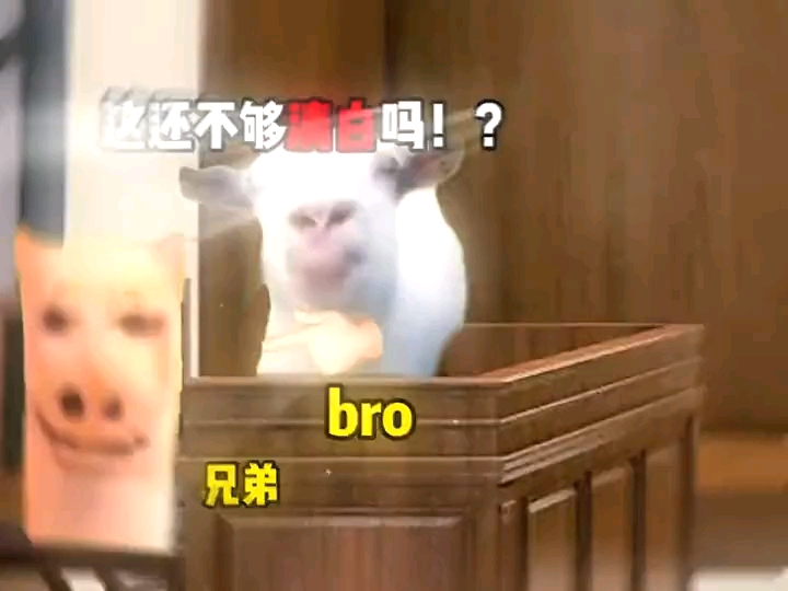 当兄弟成为你的辩护律师