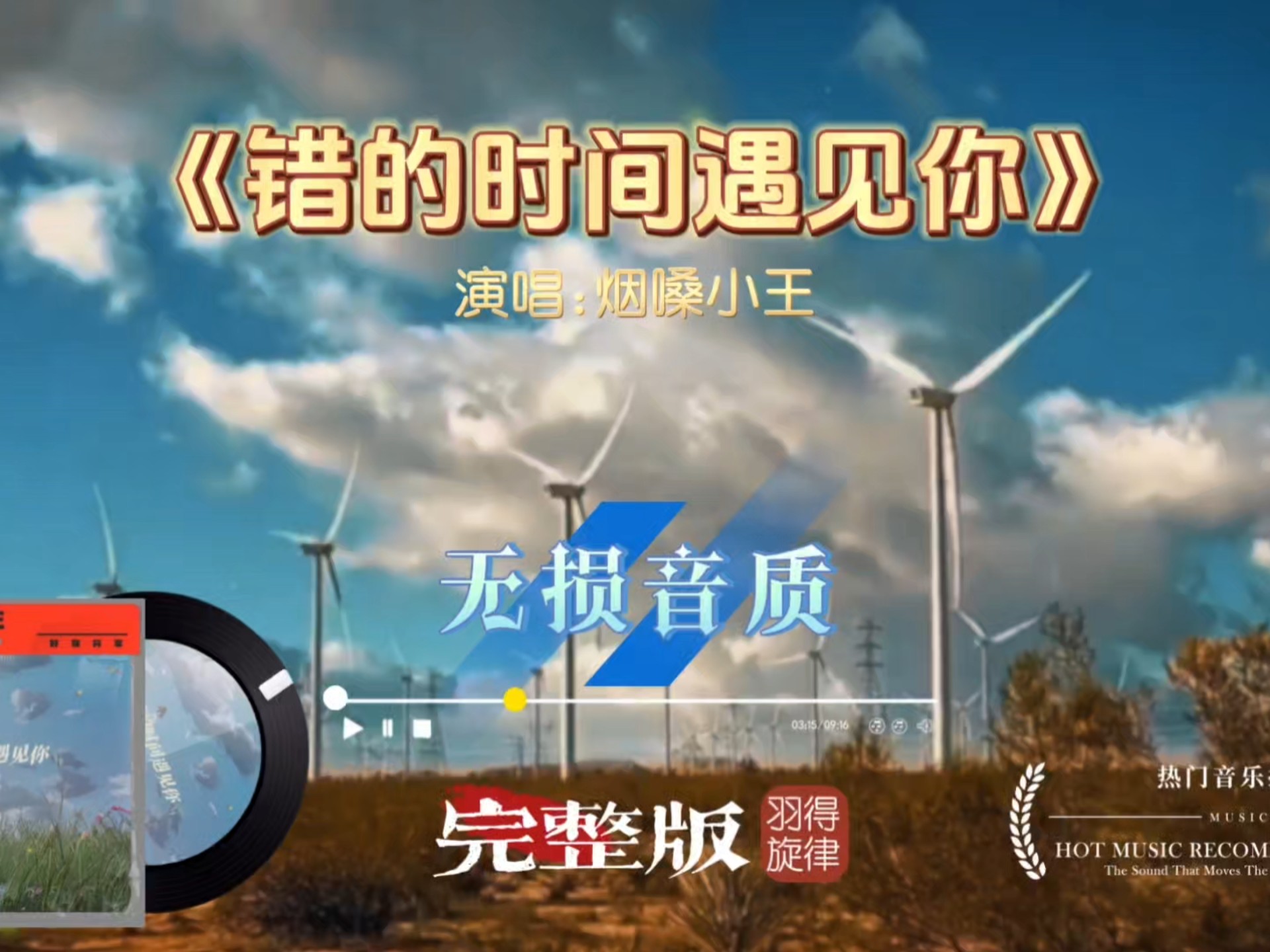 烟嗓小王《错的时间遇见你》完整版，句句扎心听哭多少有缘无分的人