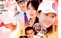 〖贺岁•动物•爱情〗阿宝的故事   聂远/刘涛/刘亦菲/黄晓明