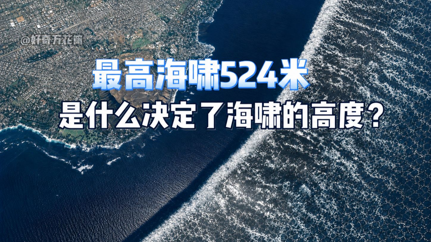 最高海啸524米，是什么决定了海啸的高度？  #科普 #海啸 #自然 #涨知识