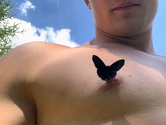 能吸引蝴蝶的男子！