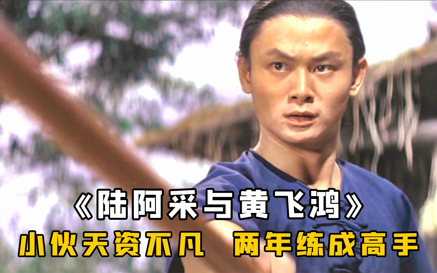 老头曾是少林十虎，身怀少林顶尖武学，两年就能教出个高手，武侠《陆阿采与黄飞鸿》