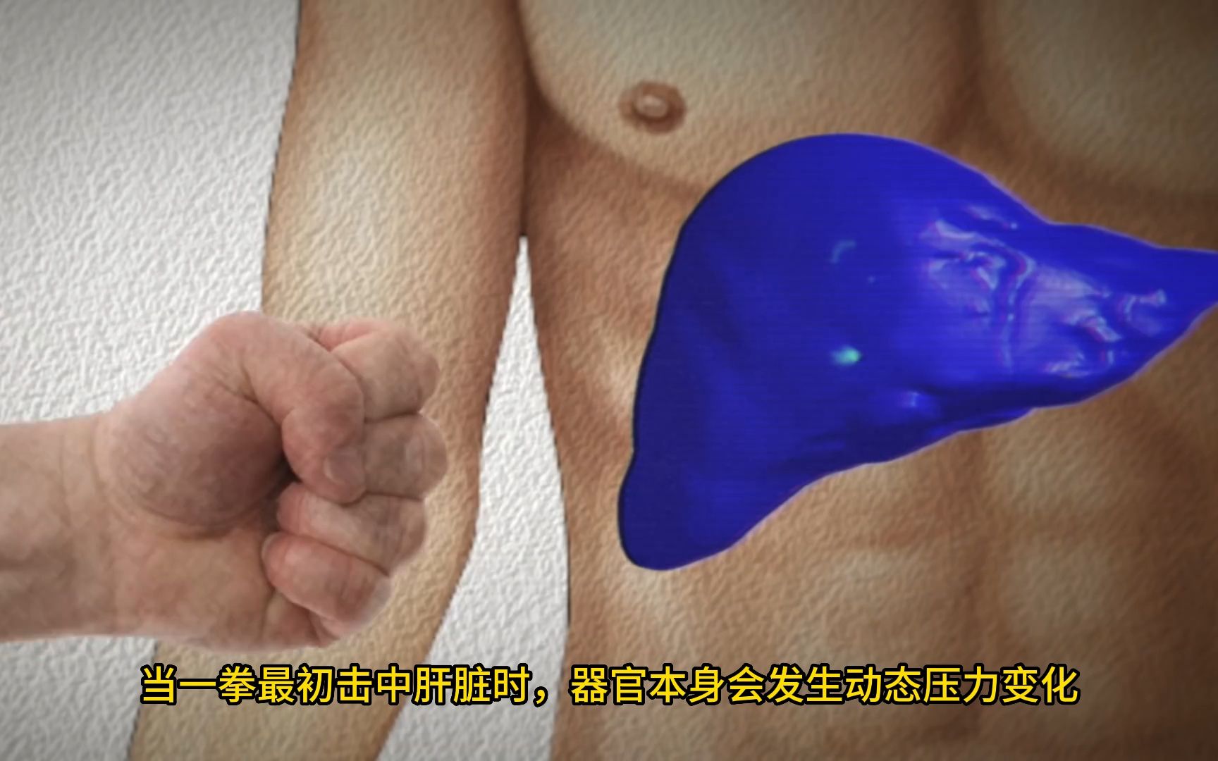 中文熟肉--科学分析爆肝拳对身体的伤害有多大