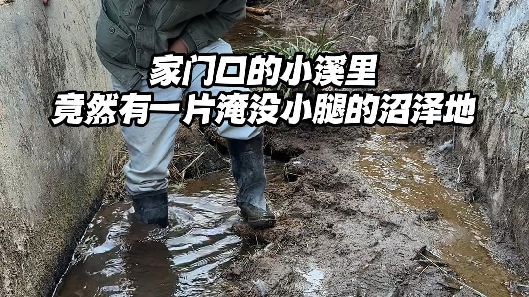 如何修复家门口的溪流沼泽地？！