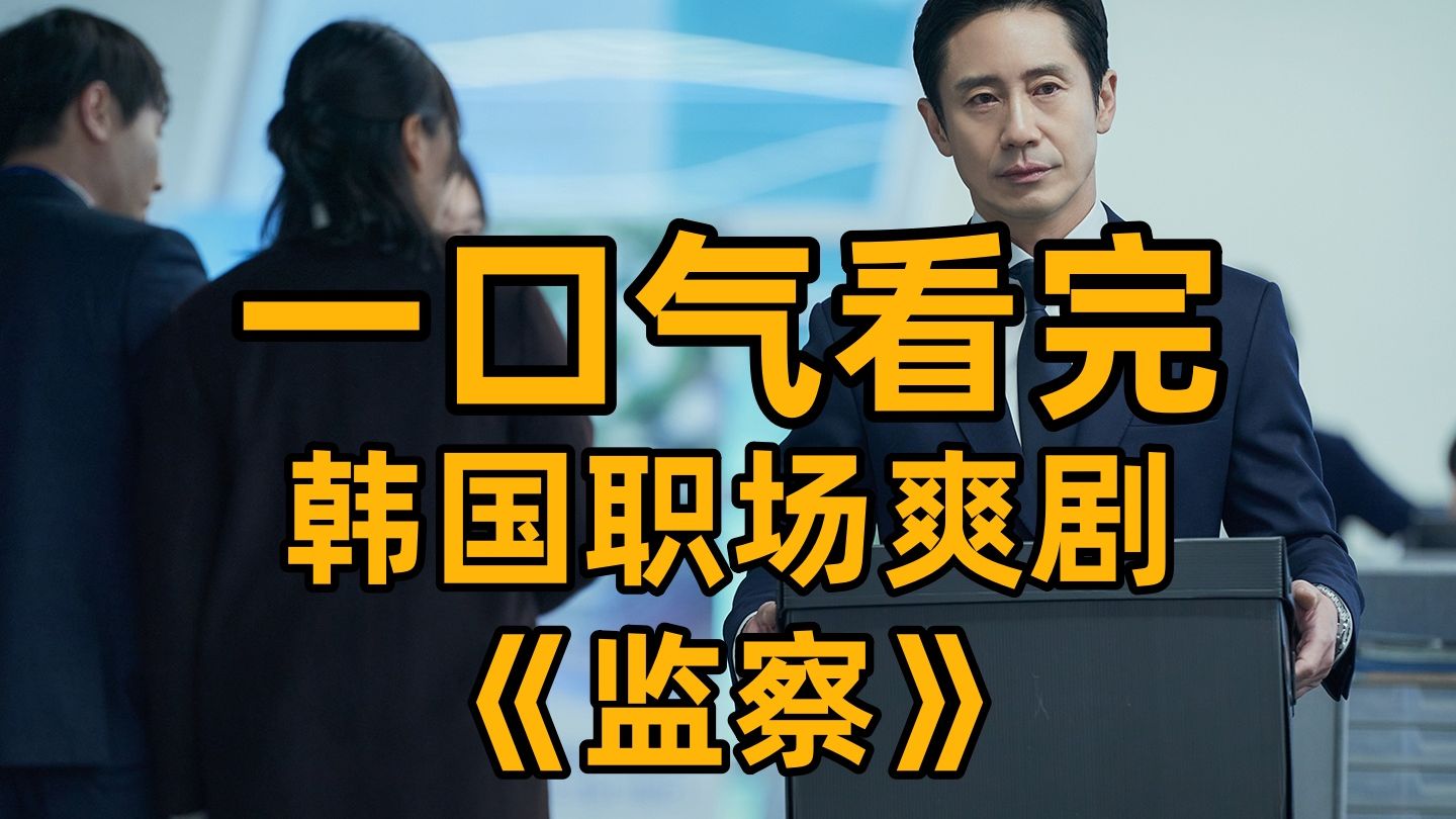 一口气看完！韩国职场爽剧《监察》，看监察大佬如何带飞监察小白！