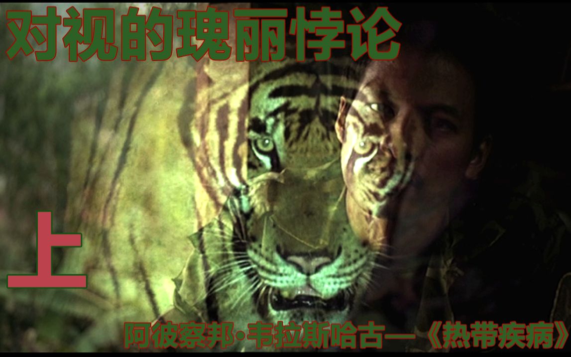 权能电影-上-阿彼察邦·韦拉斯哈古《热带疾病》对视的瑰丽悖论【电影大权权的第十一维电影解读】