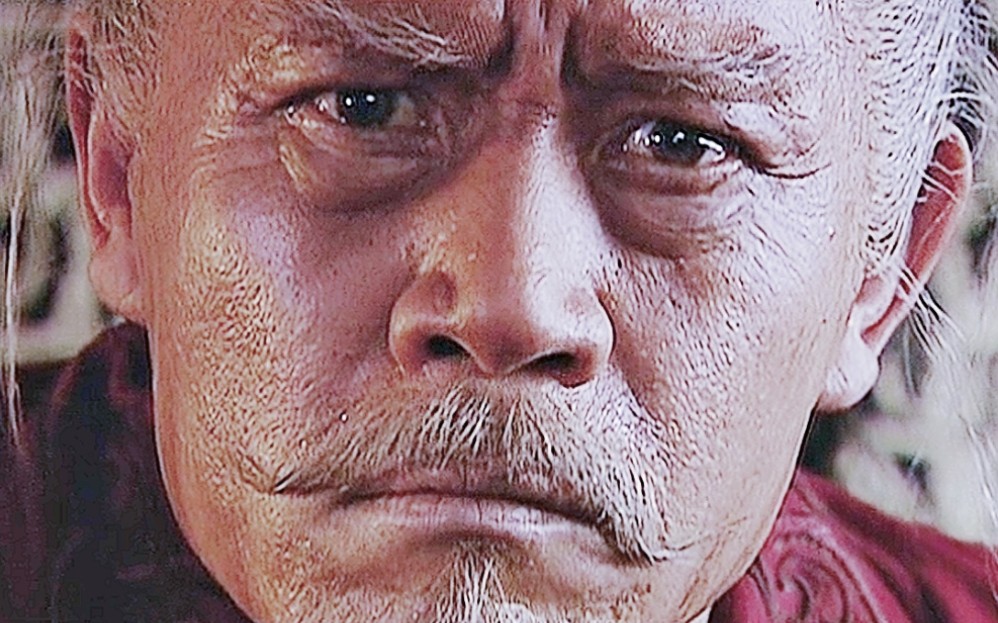 “从此以后，华夏族有了一个响彻千古的名字！”