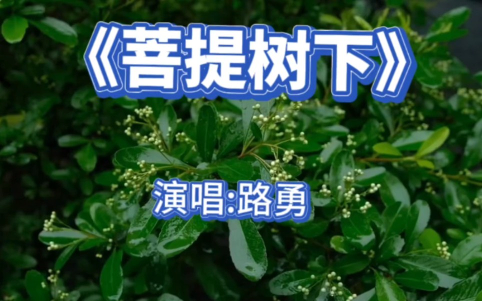 路勇《菩提树下》一花一世界，一叶一菩提