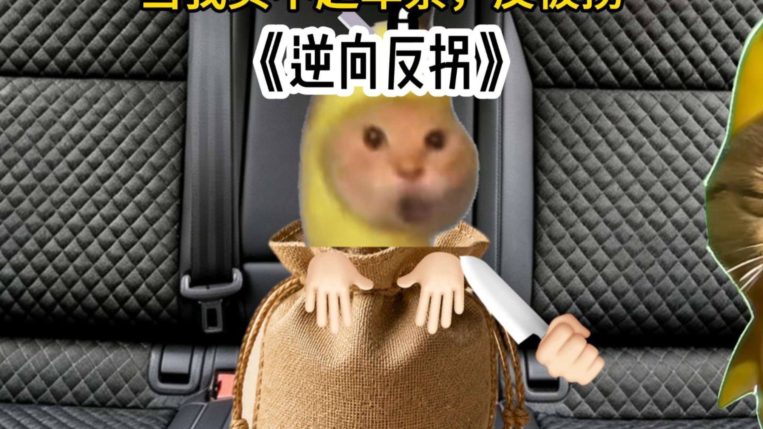 《逆向反拐》
