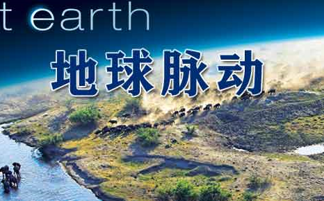 高分纪录片 《鸟瞰地球》