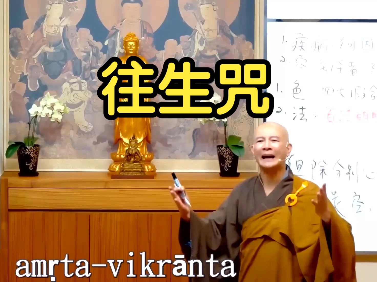 体佛法师开示：往生咒