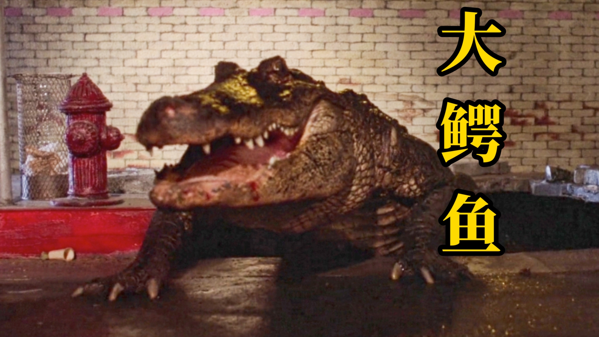 1980年美国科幻惊悚电影《大鳄鱼／Alligator》怪兽登场cut