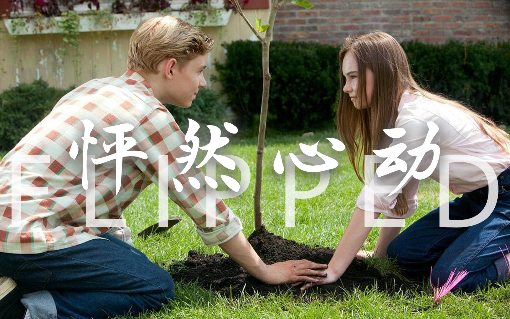 《怦然心动》深度解读丨高分校园爱情片的秘密：是爱情，又不止于爱情