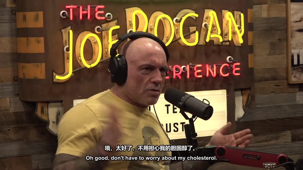 这期长访谈为什么值得收藏？9.10乔·罗根访谈 #2552 - Ehsan Ahmad &amp; Deric Pos里的3个高频表达