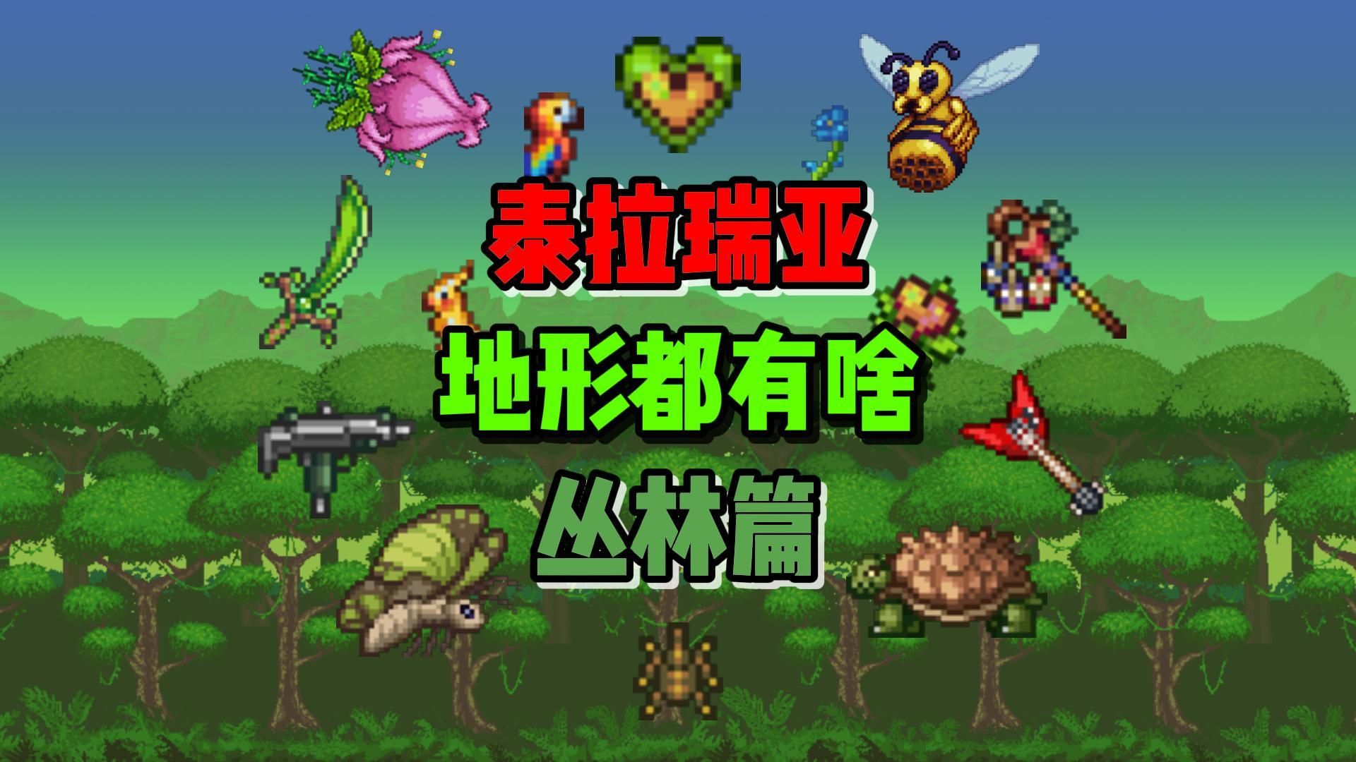 地形都有啥【丛林篇】《泰拉瑞亚》