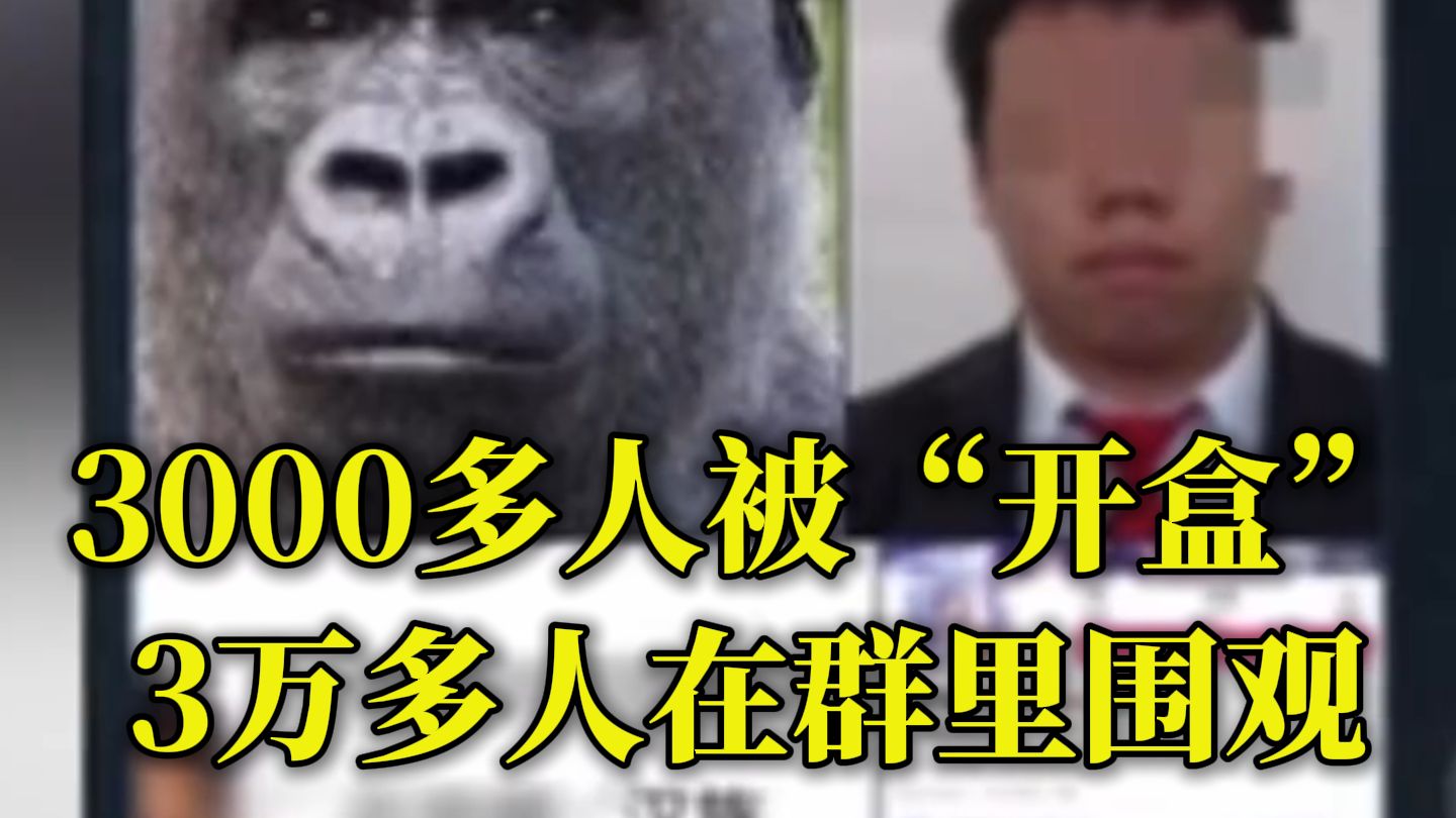 虚拟艺人 “隐身” 仍难幸免，境外黑手 “开盒” 终落法网