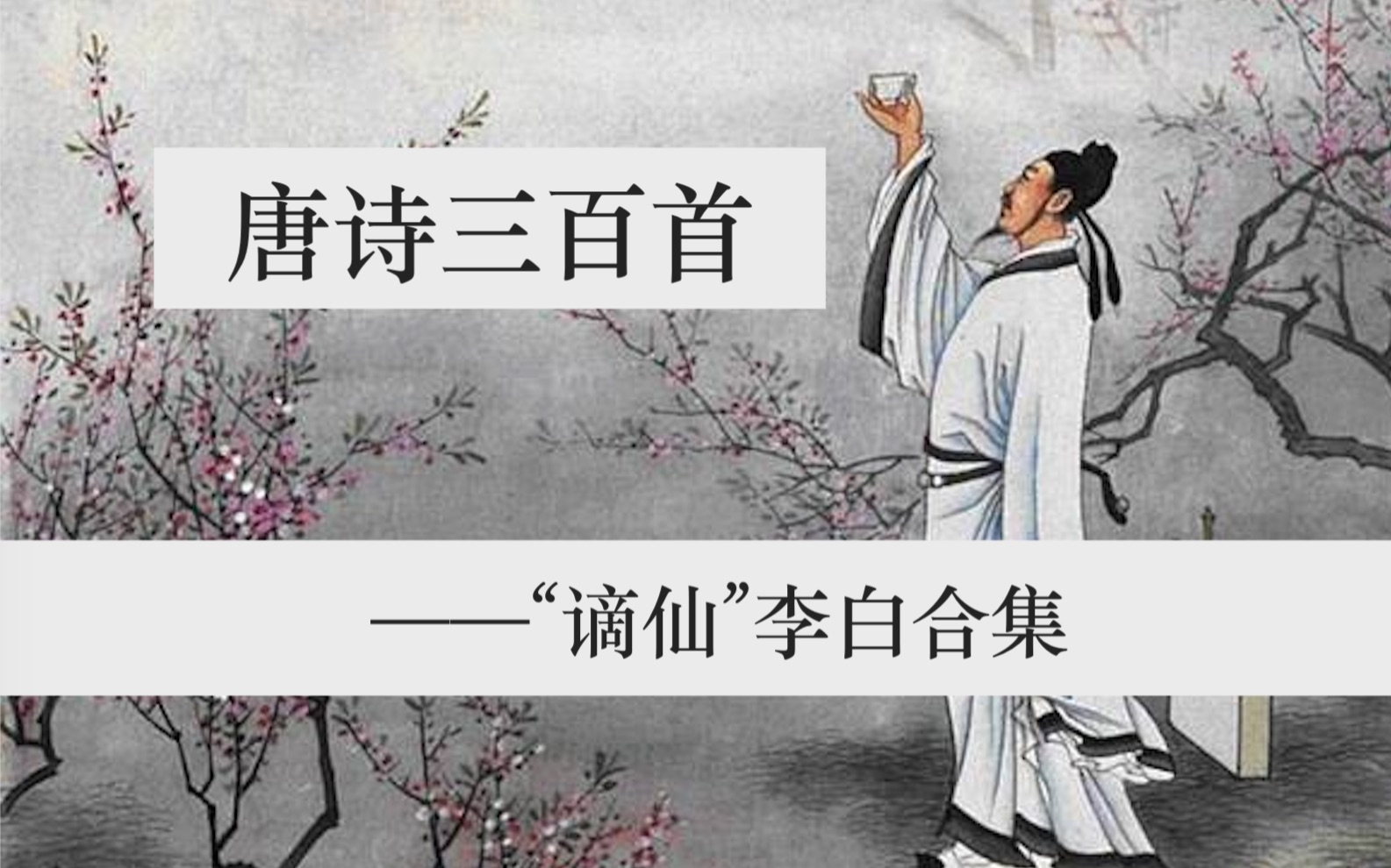 【李白合集】【唐诗三百首合集（持更中）】｜“谪仙”李白｜原诗+译诗+讲解（共25首 已完结）｜UP学习记录自用
