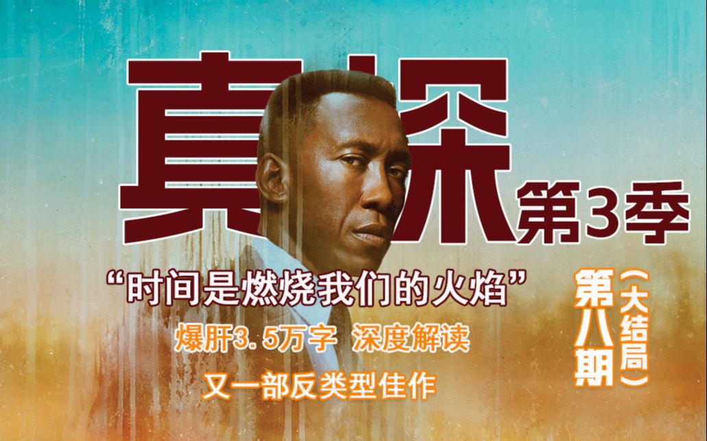 【刑警双雄】高分探案剧 《真探》第三季深度解说第8期（大结局）：“时间是燃烧我们的火焰”