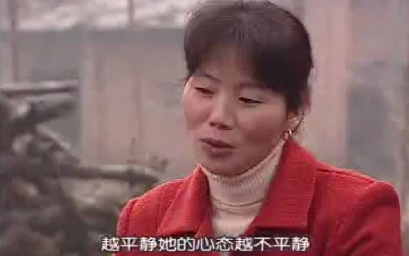 《我叫刘小样》完整版 半边天