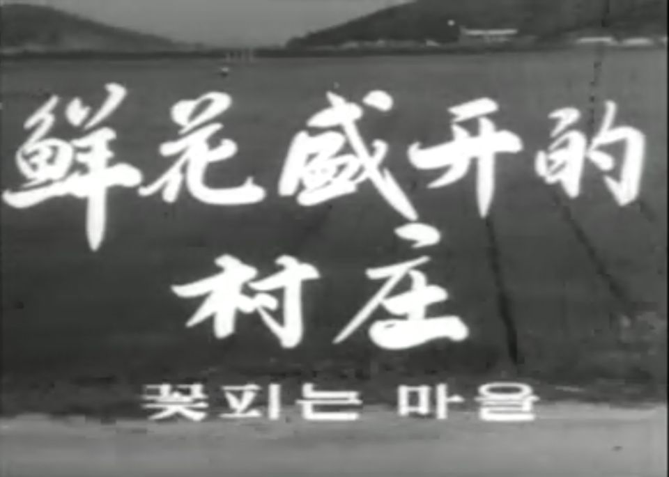 经典怀旧  鲜花盛开的村庄 1/11
