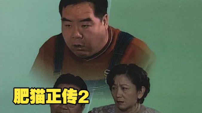肥猫正传2国语32集全