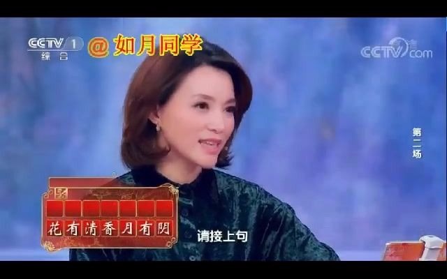 王立群老师 中国诗词大会 第四季点评合集