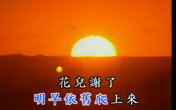 青春舞曲