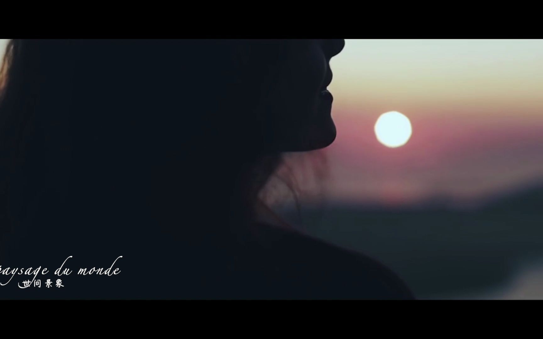 一首歌一个故事--《Le Plus Beau Et Le Plus Triste》