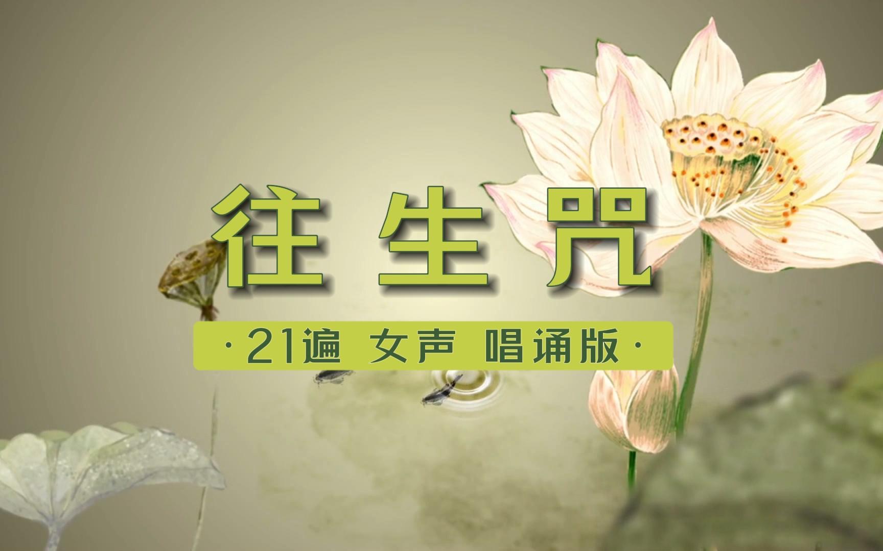 往生咒｜字幕+回向  极乐世界 往生净土 娑婆世界存在种种奇妙关系