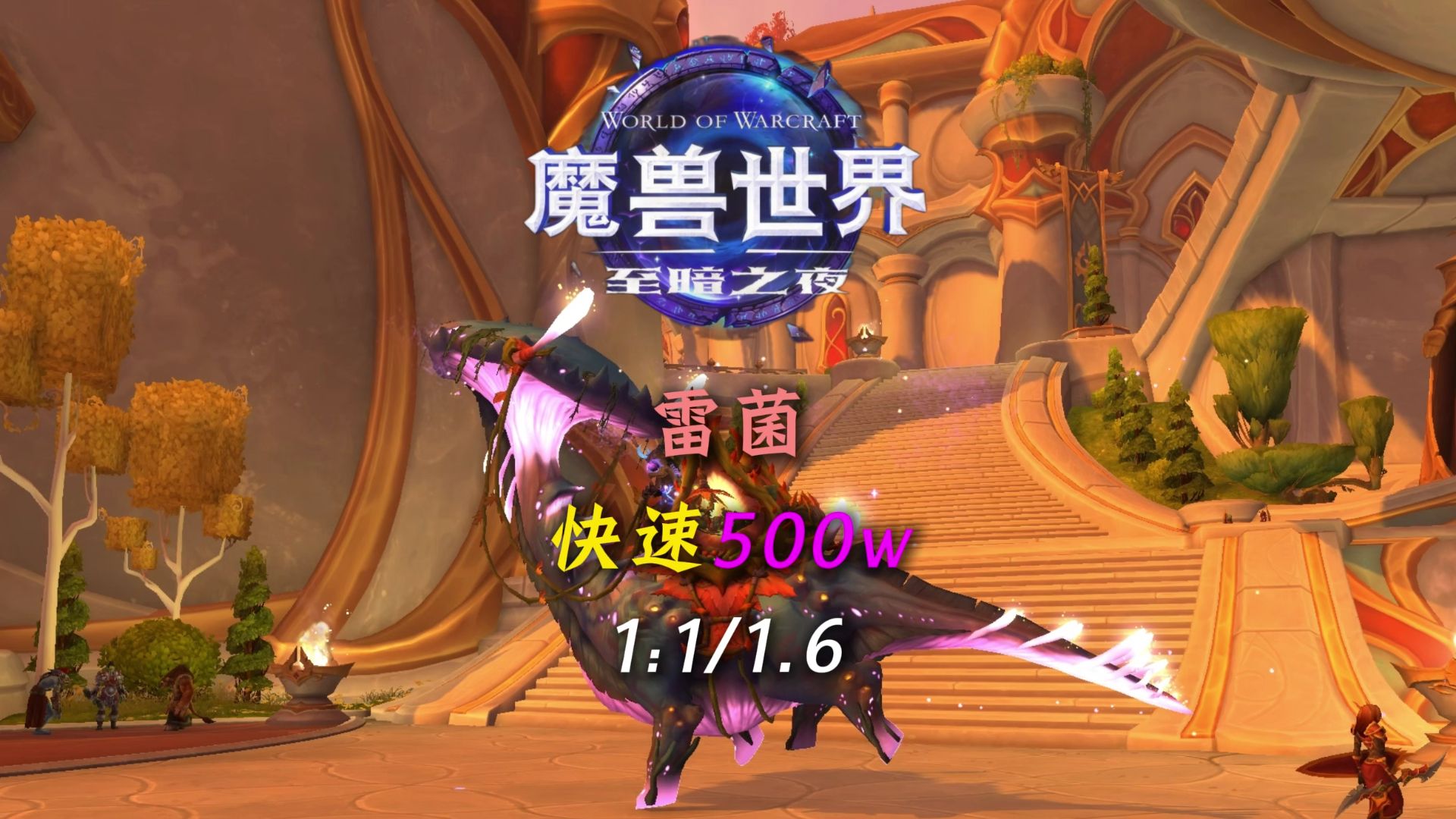 雷菌500w金币转移 快速自动兑换 新孢子雷龙 金币1.6:1/1:1 虚光灰岩 诡异诱饵