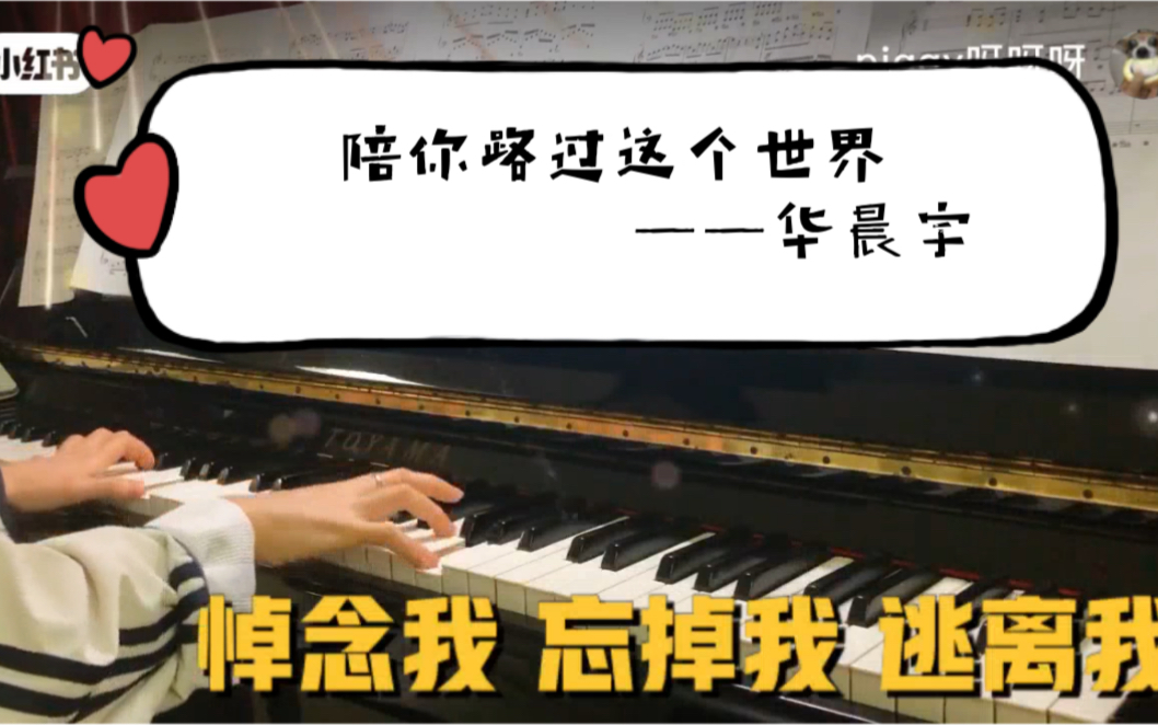 小爱前身——陪你路过这个世界