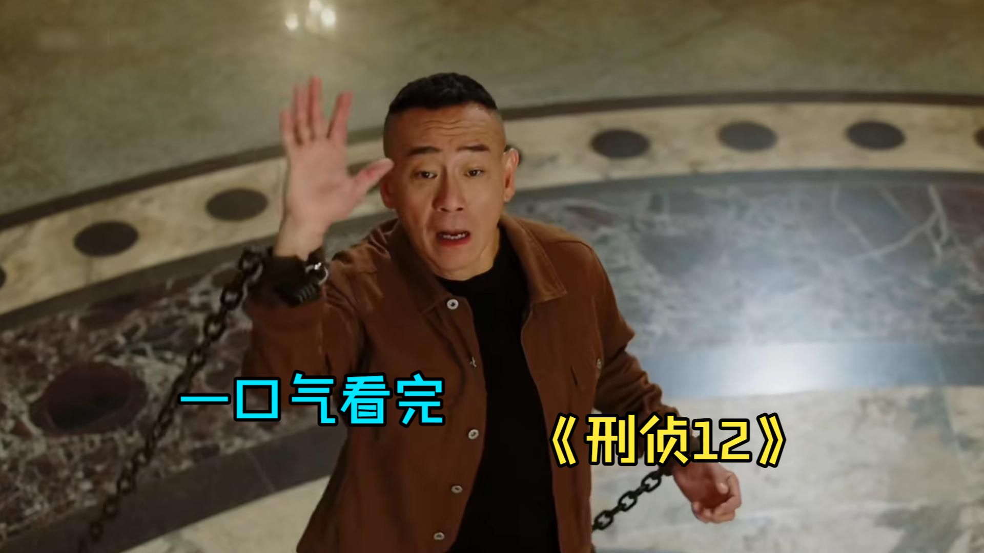 一口气看完悬疑犯罪剧《刑侦12》，港式刑侦巅峰回归，悬疑与人性的极致博弈。