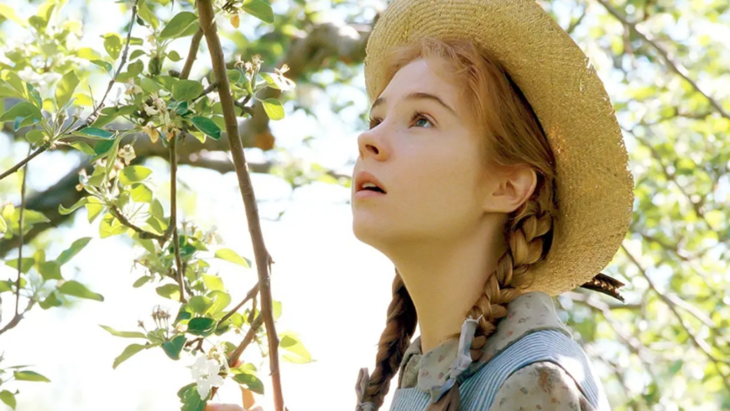 清秀佳人 Part 1  Anne of Green Gables 1985