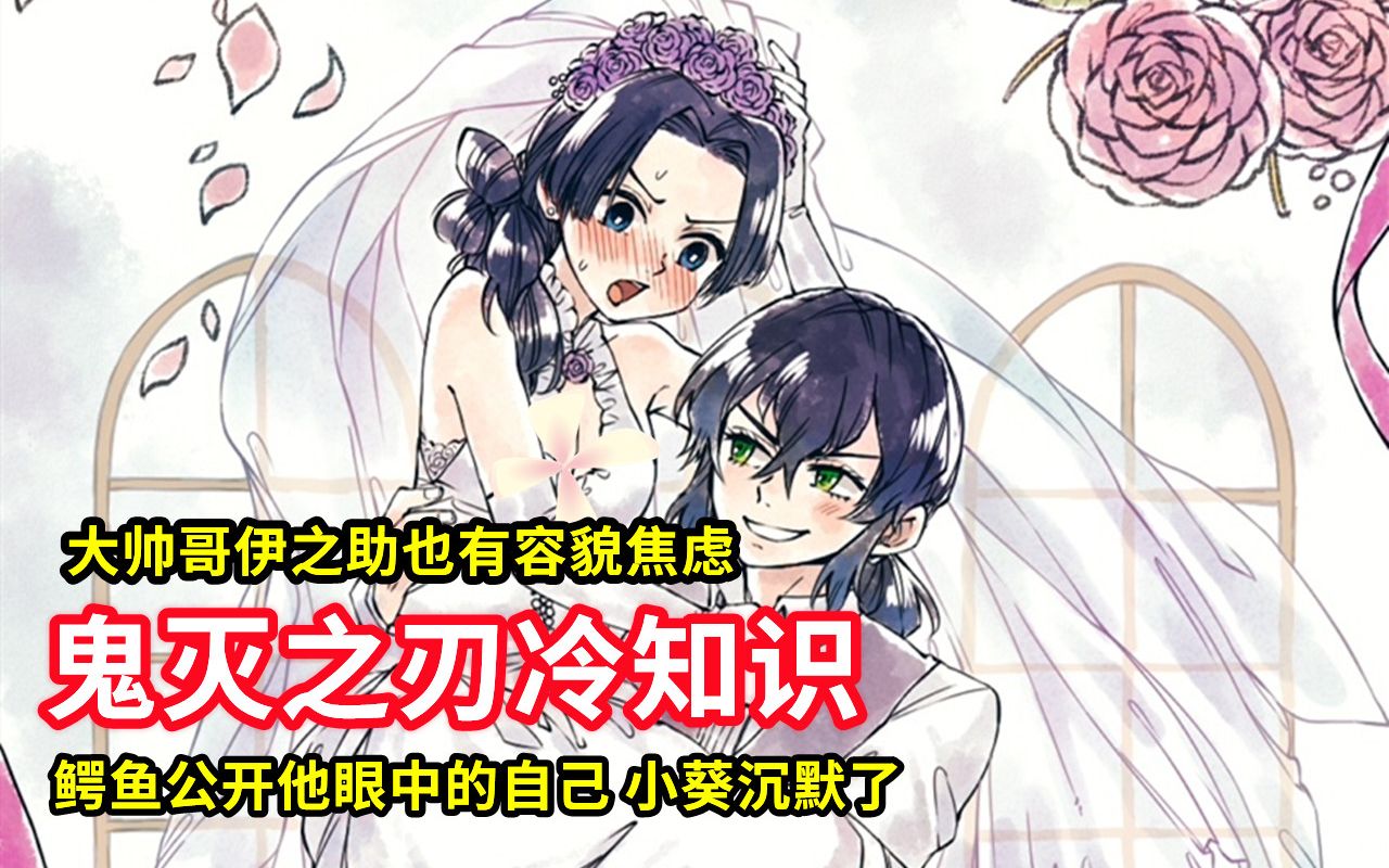 【鬼灭之刃】伊之助冷知识（上）：大帅哥伊之助也有容貌焦虑？鳄鱼公开他眼中的自己，小葵沉默了