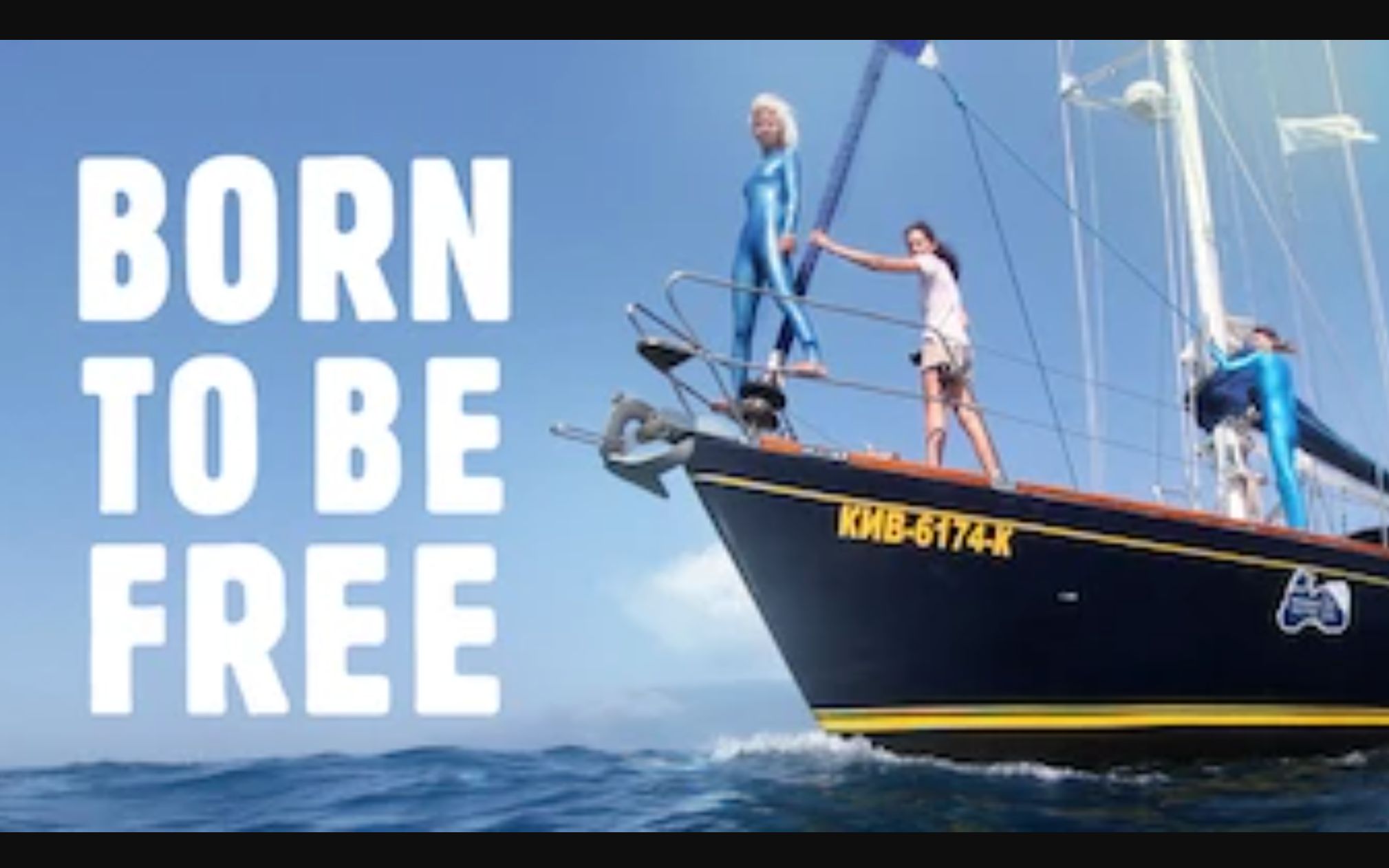 【纪录片】生而自由 1080P中英文双语字幕 Born To Be Free