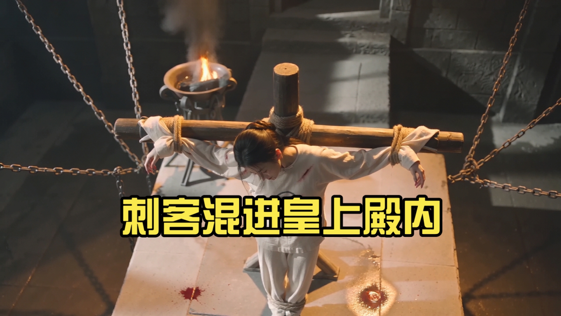 刺客混进皇上殿内，暴露身份惨遭抓捕，在大牢里受尽酷刑