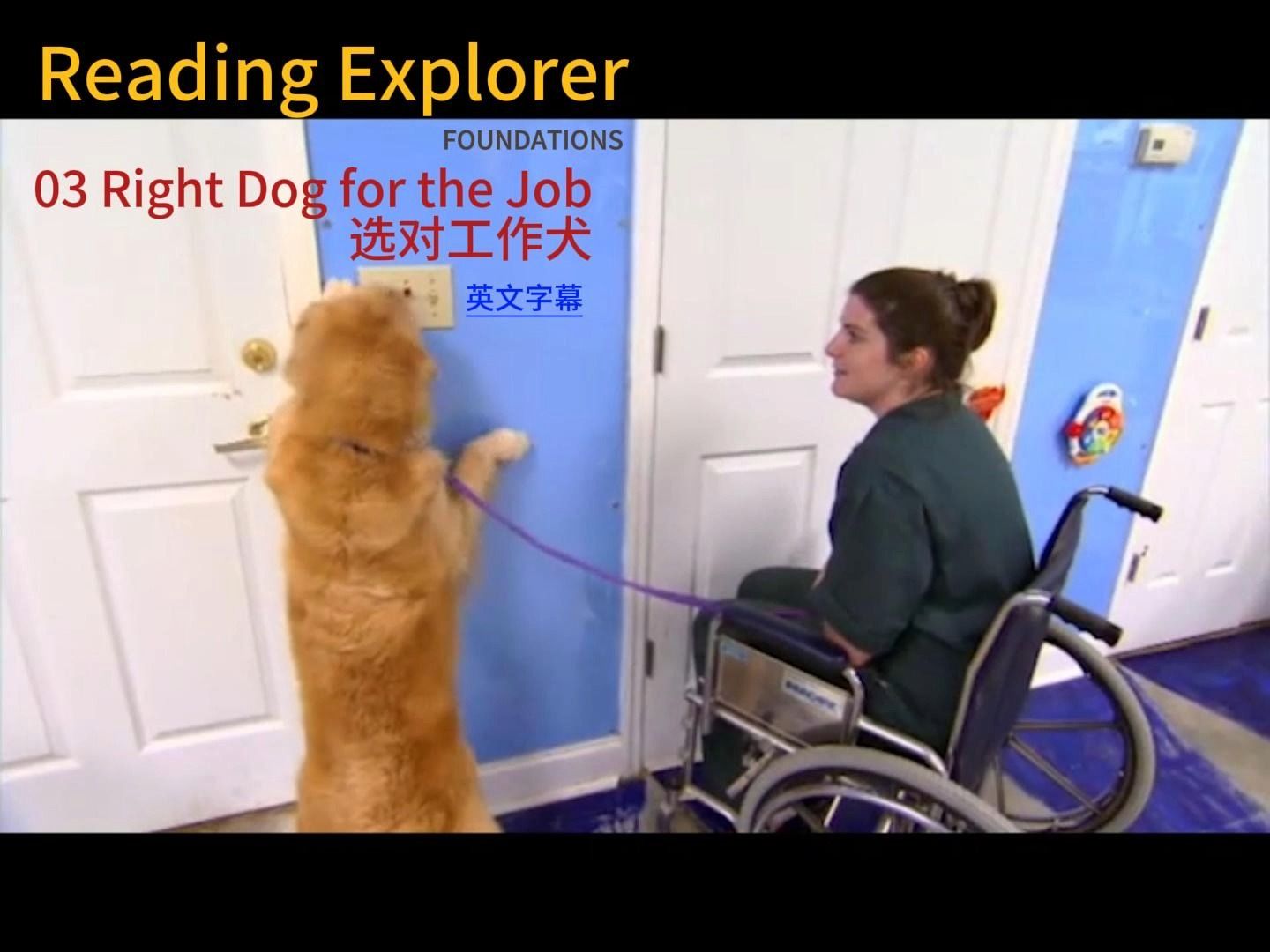 国家地理RE｜基础级 03 Right Dog for the Job (英文字幕)