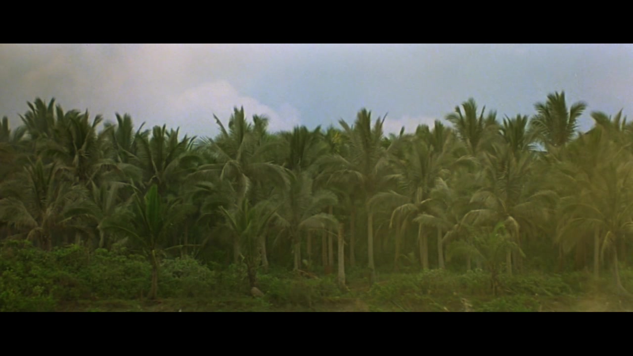 【电影原声】《结束》The End<现代启示录>Apocalypse Now Tedux 1979