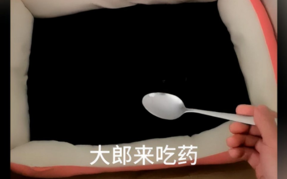 眼神不好，别养黑猫！