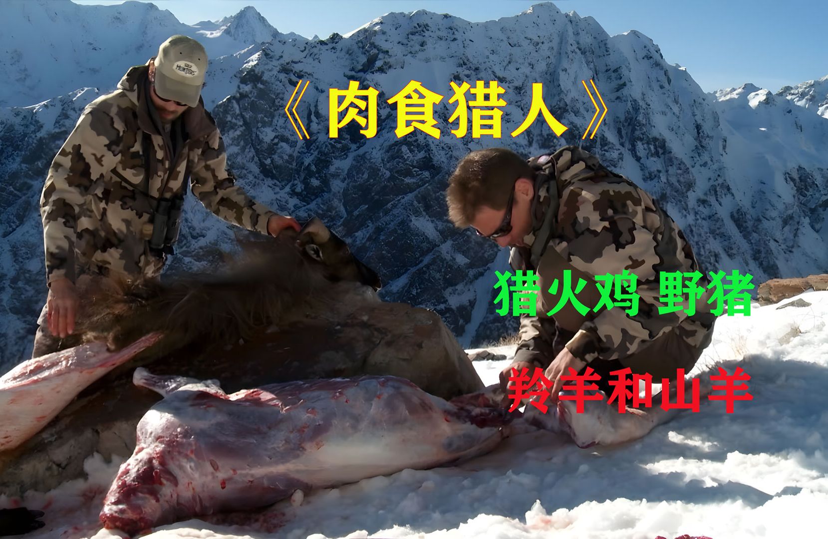 一口气看完，肉食猎人第二季，他是猎人，也是美食家