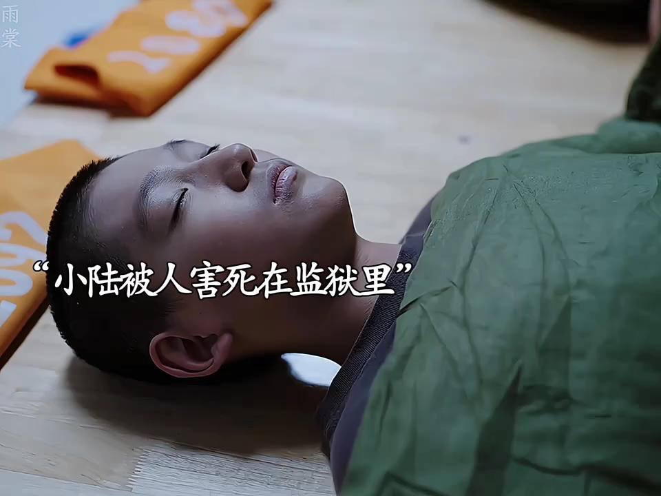 男孩被人害死在监狱，下一秒富二代替他报仇