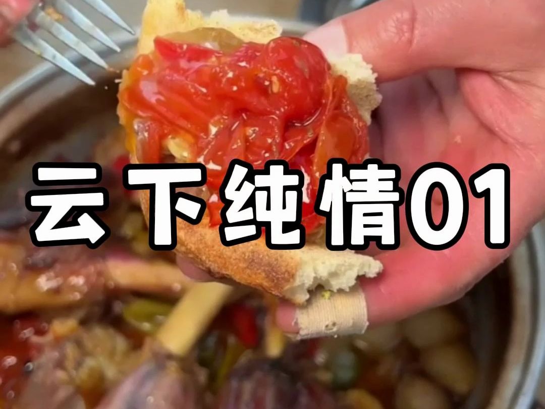 小说推荐《云下纯情》