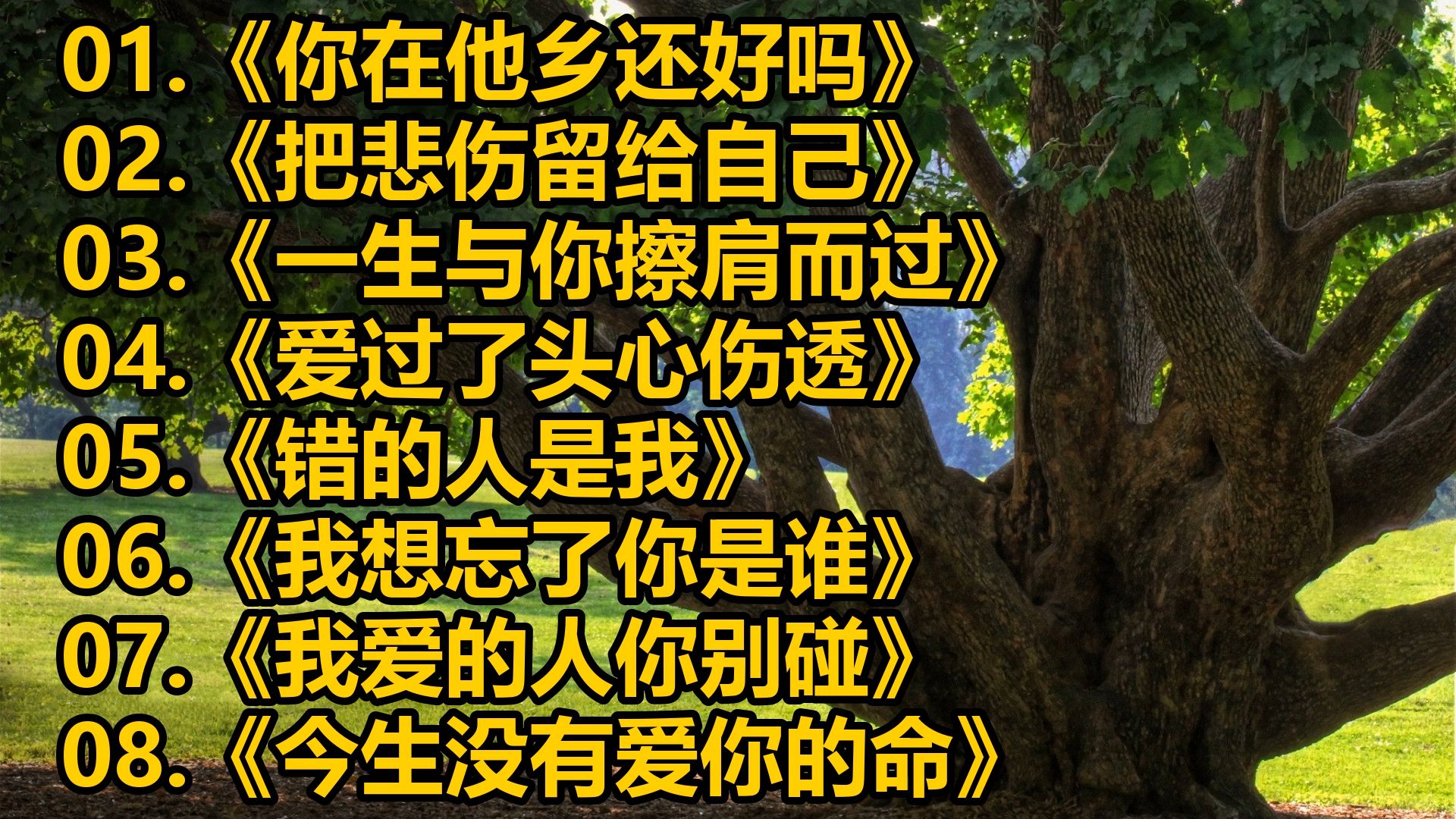 《你在他乡还好吗》《把悲伤留给自己》《一生与你擦肩而过》《爱过了头心伤透》《错的人是我》《我想忘了你是谁》《我爱的人你别碰》《今生没有爱你的命》