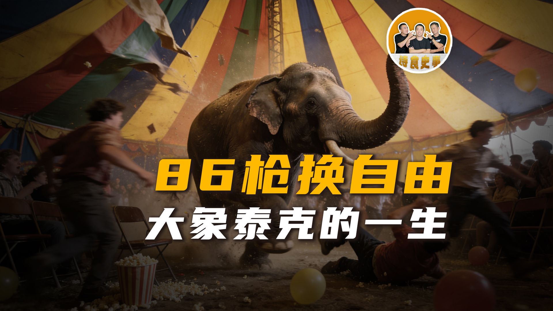 大象泰克的一生