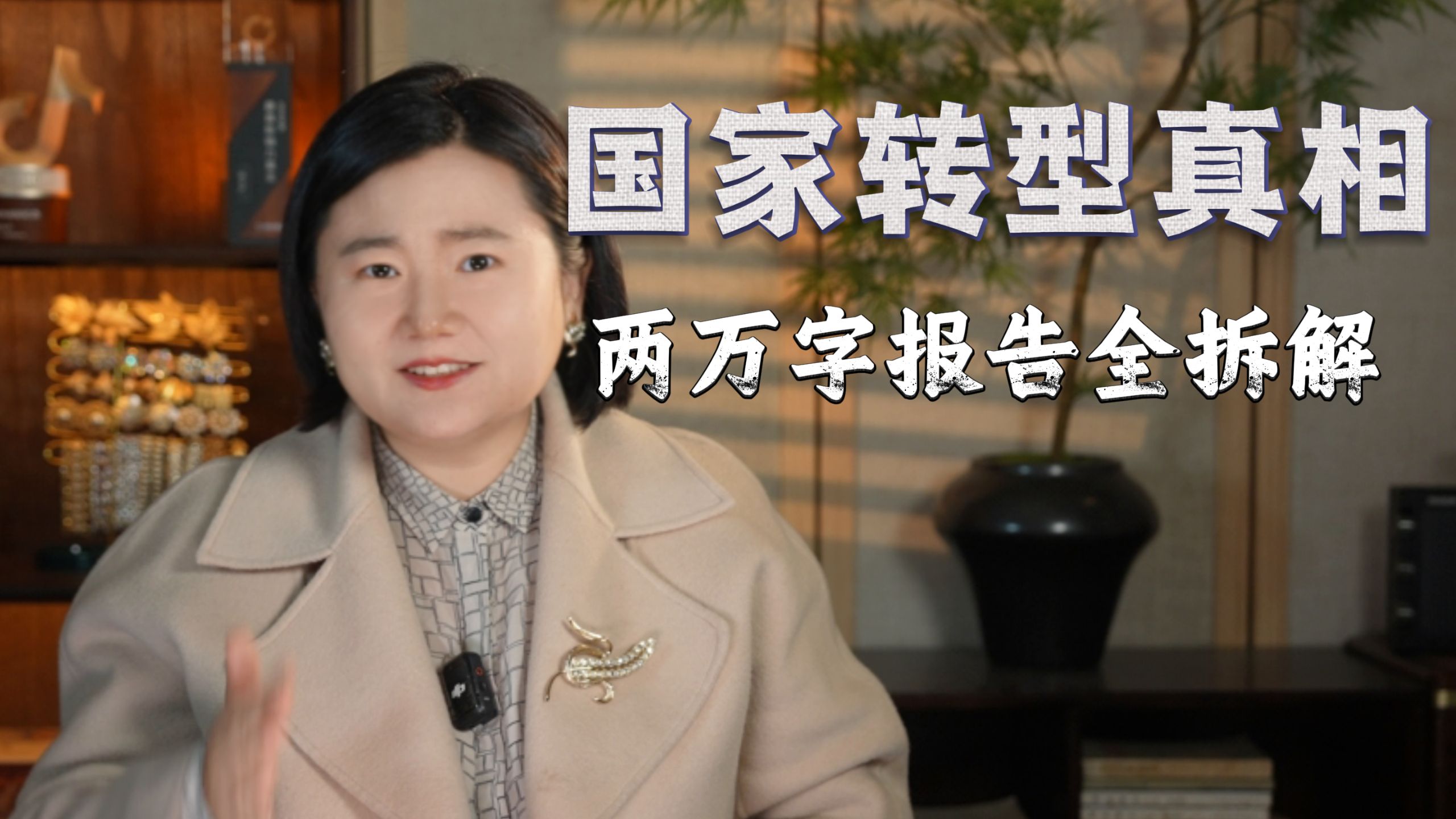 国家转型真相