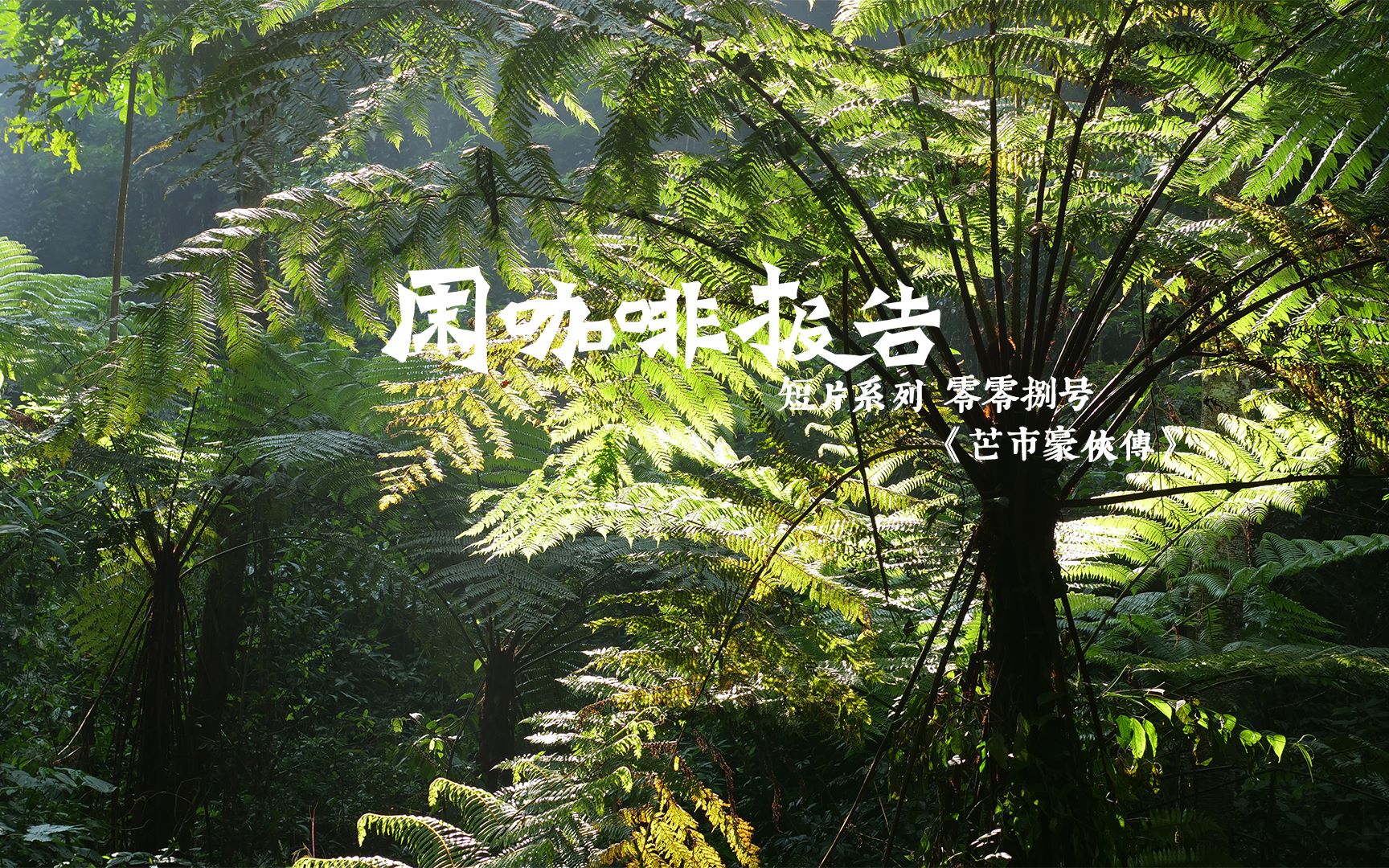 云南咖啡原产地历险记 - 芒市豪侠传