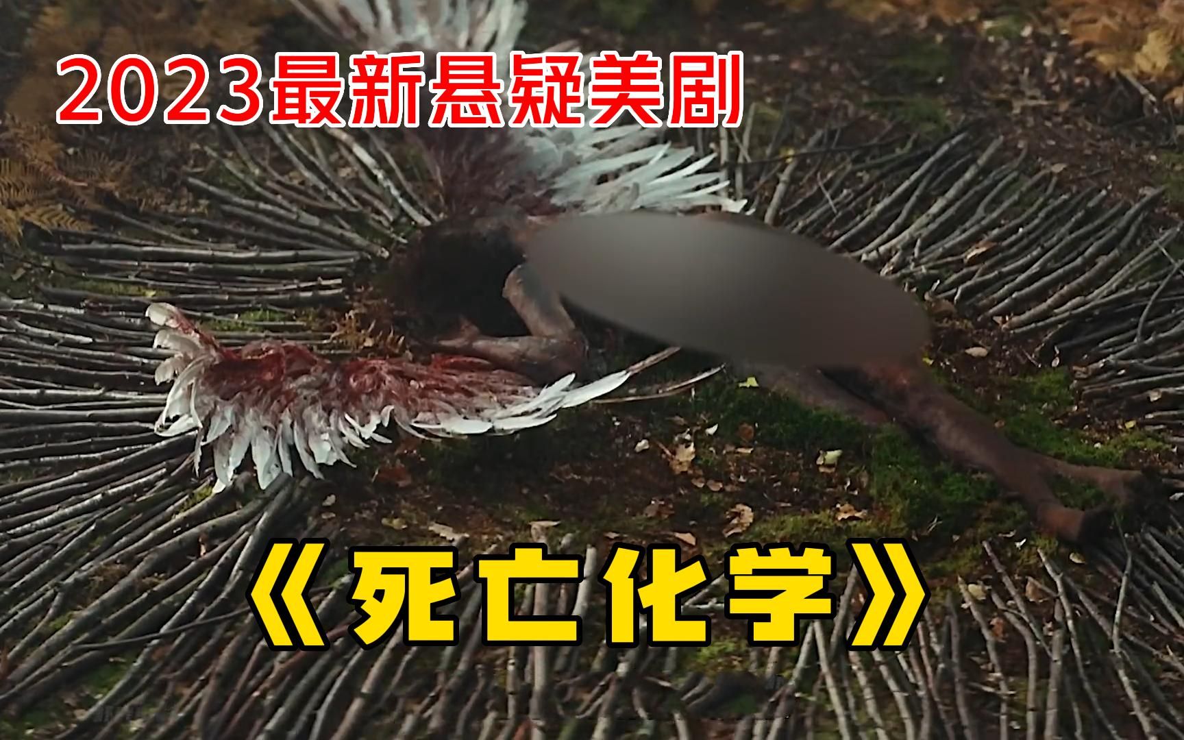 2023最新悬疑美剧【死亡化学】震撼来袭！两个小男孩意外撞见一具长着翅膀的女尸，全程高能刺激！