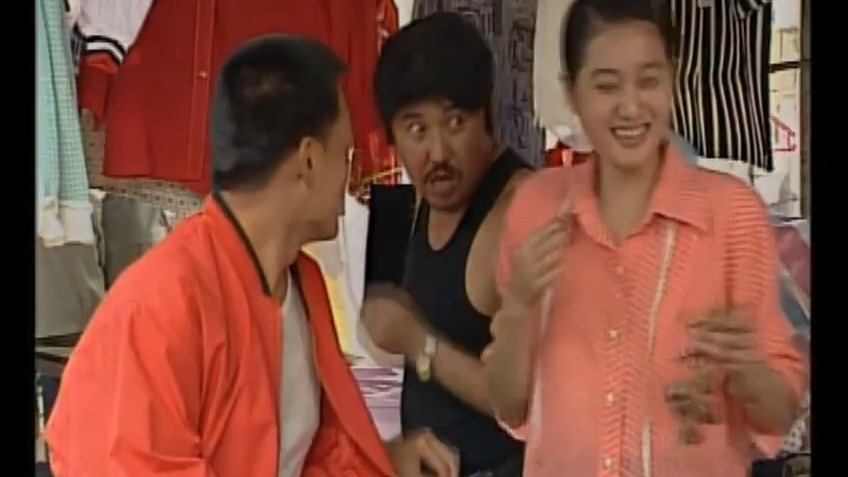 海风吹过的乡村 1998年 刘敏涛 孙岩 李梦男 钟卫华